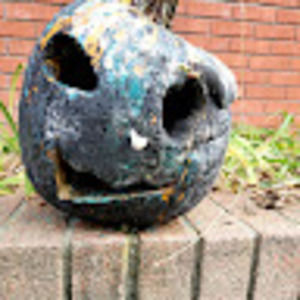 Meet your Posher, Aljunon